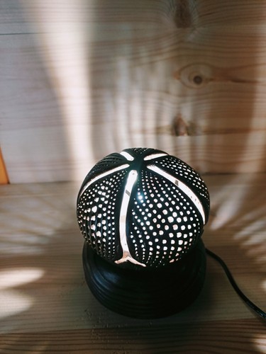 Lampada tavolo cocco - lampada, da