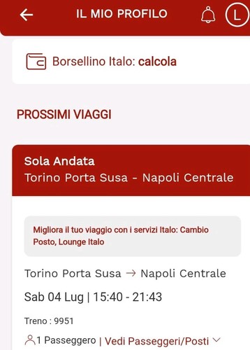 Biglietto italo treno - biglietto,