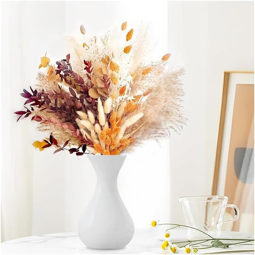 Pezzi pampas - pezzi,