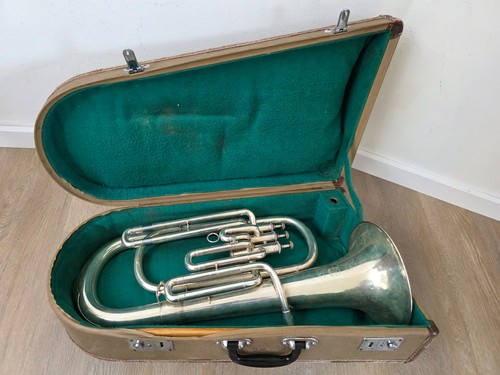 Allodola baritona