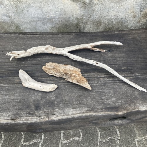 Lotto legno mare driftwood - lotto, di
