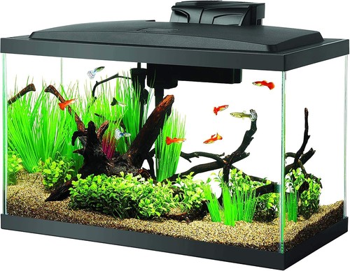 Aqueon acquario fish - aqueon, tank