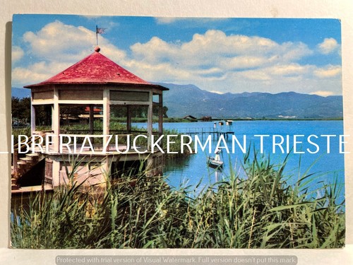 Torre del lago canoa - lago, lucca