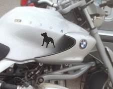 PITBULL 12X11 Cm, Adesivo In Vinile Versione 12X