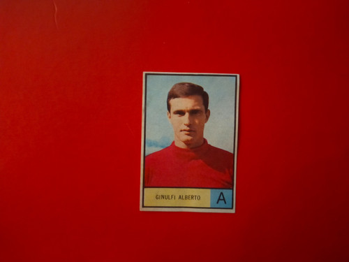 Ginulfi album figurine - album,