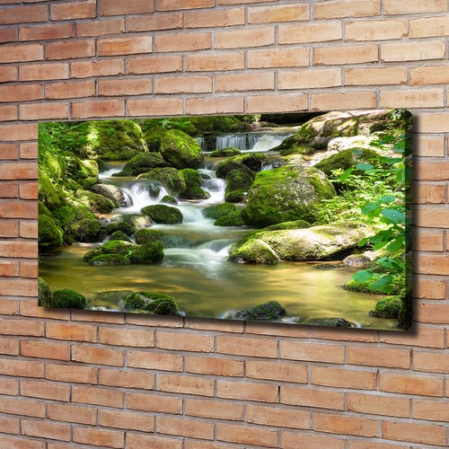 Tulup dipinto tela pittura - su,
