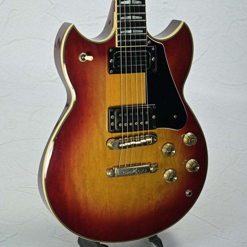 Chitarra elettrica usata