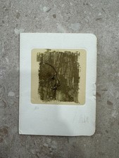 Riproduzione fotolitografica