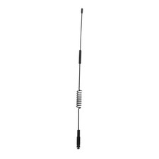 Antenna decorativa per auto da