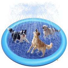Piscina cani tappetino - cani,