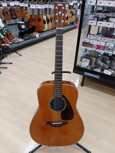 Chitarra acustica elettrica