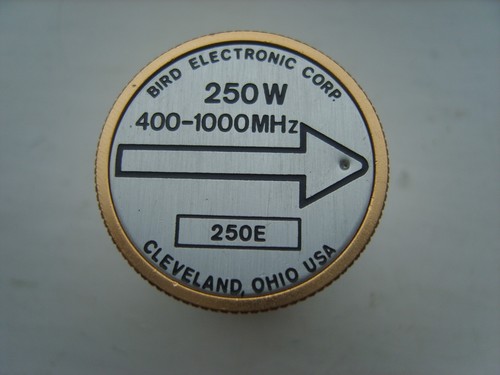 New bird thruline - 43,