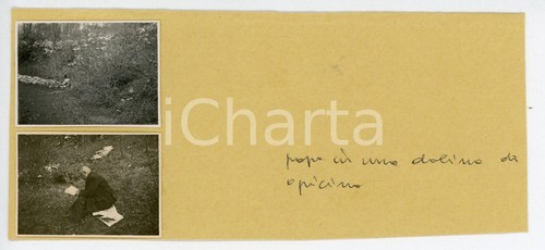 1935 trieste opicina uomo - trieste,