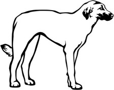 Adesivo CANGAL - cane pastore