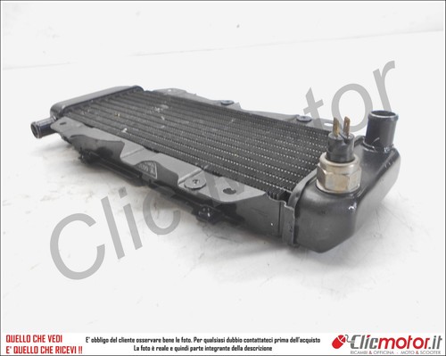 Radiatore radiator original - radiator,
