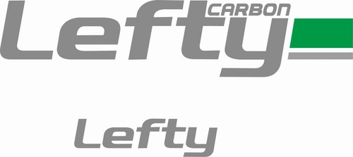 Adesivi forcella lefty carbon - adesivi,