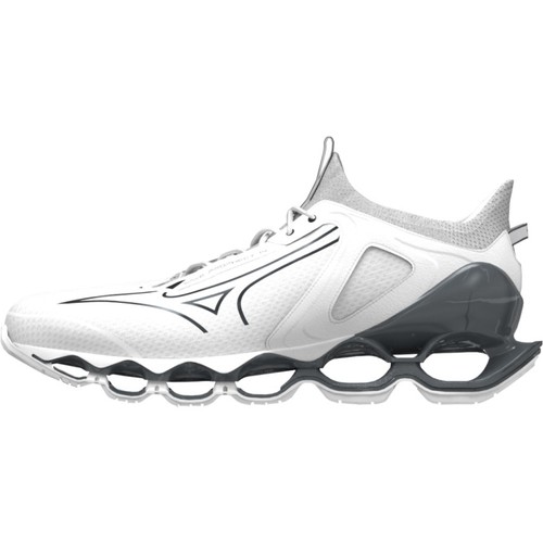 Mizuno wave prophecy - prophecy,