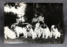 Fotografia originale 5x7 SEI