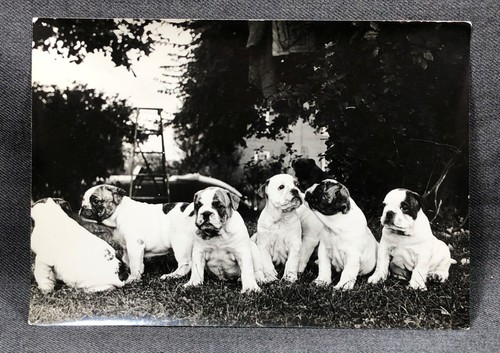Original 5x7 photograph six - original,