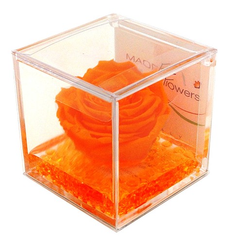 Rosa arancione fiore - arancione,,