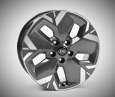 Cerchi In Lega KIA NIRO EV