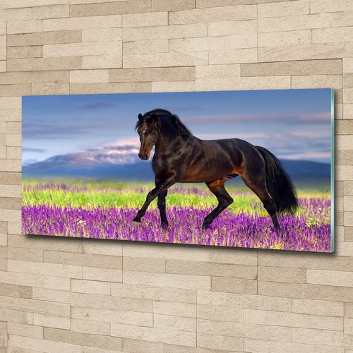 Quadro stampa vetro wall art - stampa,