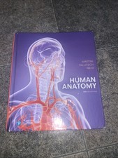Human anatomy robert - human,