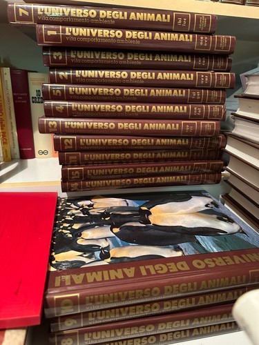 Enciclopedia universo degli - l'universo,