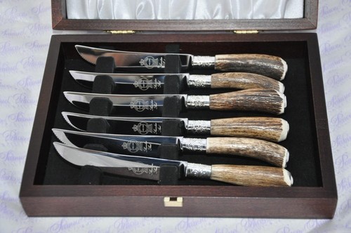 Six rare sambar stag - six,