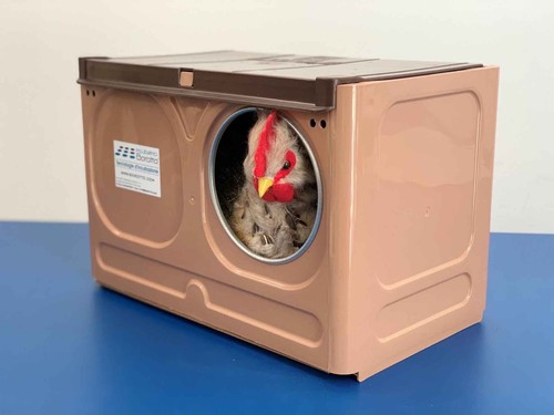 Nido universale per galline - nido,