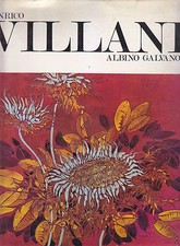 ENRICO VILLANI di Albino