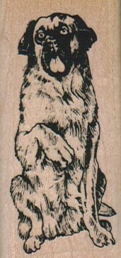 Leonberger dog paw - dog, 2