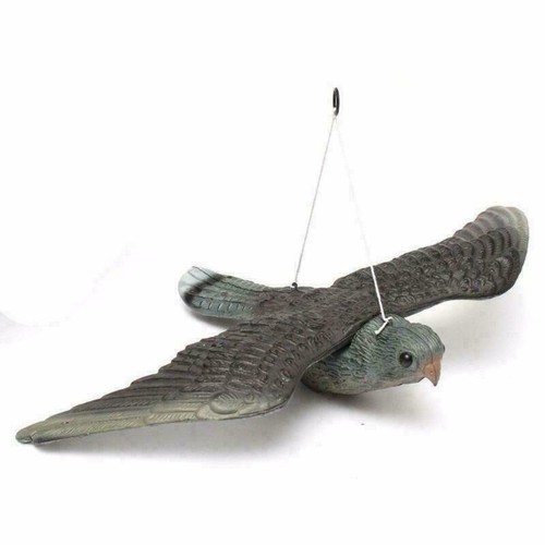 Falco spaventapasseri - falco,