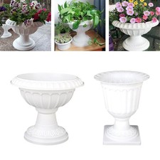 Vaso di Fiori Fiori Secchi