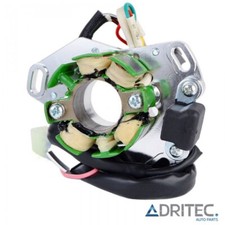 STATORE ALTERNATORE per SUZUKI