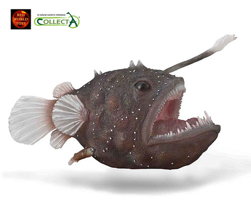 Angler fish anglerfish sealife - fish,