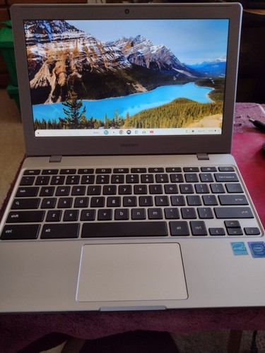 Samsung xe310xba k01us - xe310xba,
