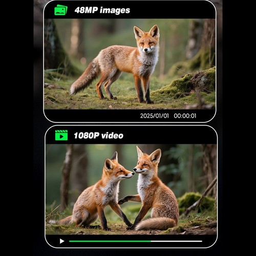 2mp per telecamera - telecamera, trail