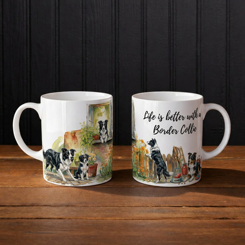 Tazza border collie - life, is