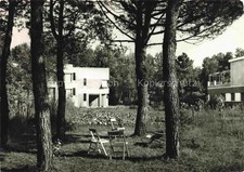 Ronchi Massa Marittima Toscana