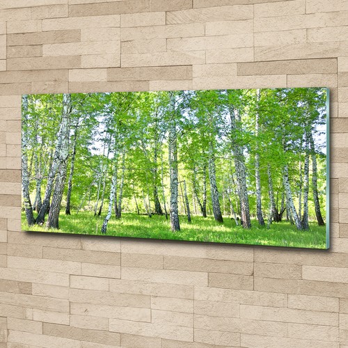 Quadro immagine arte parete - immagine,