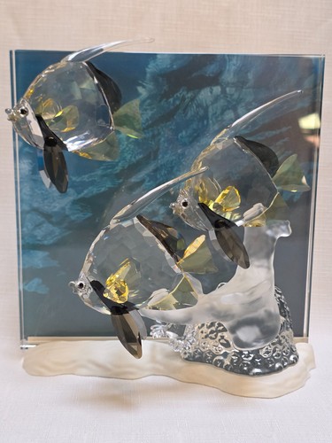 Rara comunità swarovski - comunità,