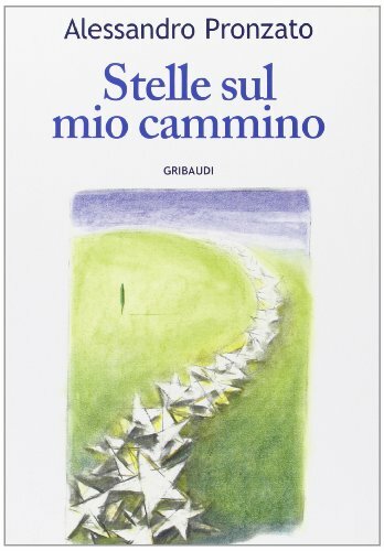 Stelle sul mio cammino