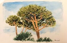 STEFANO MANZOTTI - PINO MARITTIMO - ACQUERELLO SU CARTA - 17,5 x 27- OPERA UNICA