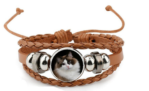 Rag doll cat pet - pet, leather