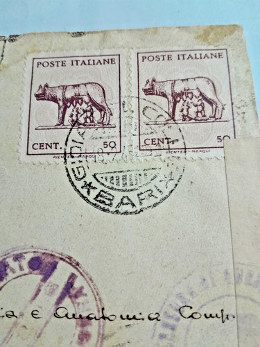 1945 coppia lupa lettera - lupa,