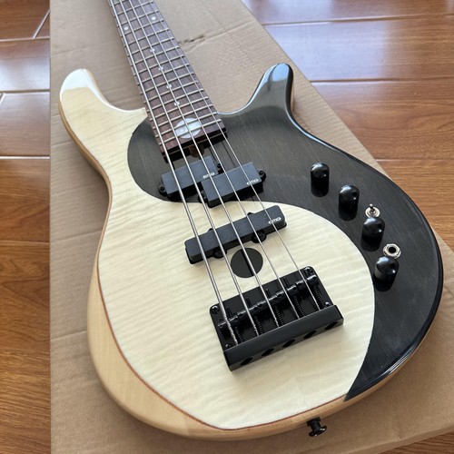 Pickup basso elettrico