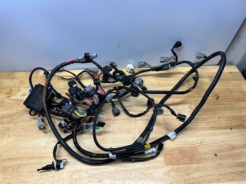 2022 suzuki df200 - suzuki, wire