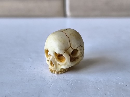 Memento mori vanitas - vanitas, skull
