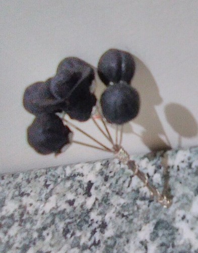 Argento tunisia mazzo fiori - tunisia,
